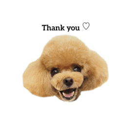 ARISA_20211225161308