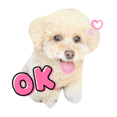 mizuki_20211225170128