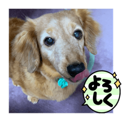 emily_20211225172825