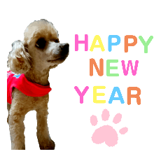 wagamamapoo_20211225210703