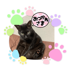 tomomi_20211225225953