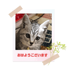 yuka_20211226011029