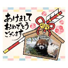 Tomomi_20211226081604