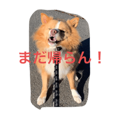yuto_20211225210345