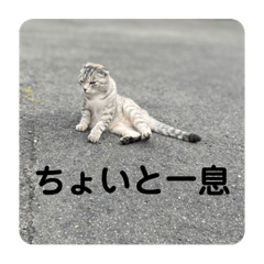 Kaito_20211225220345