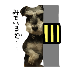 アンディ様❤ミニチュアシュナウザー 印鑑スタンド♡ アンディ様❤ミニチュアシュナウザー 印鑑スタンド♡ アンディ様