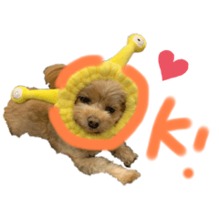 nanami_20211226005559