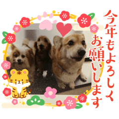 miki_20211226123839