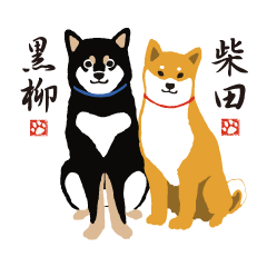 Shibainu dog Shibata san, Kuroyayagi san