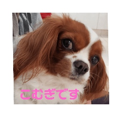 yuka_20211226132154