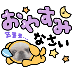 imimim_20211226114006