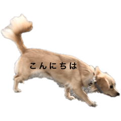 iam.3ya