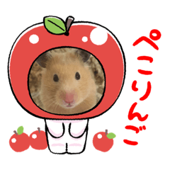 kaori_20211226150920