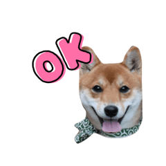 hiyori_20211226151006