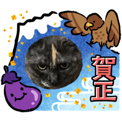 AKIKO_20211226153630