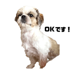 kichi_20211226145346