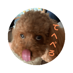 hana_20211226143334