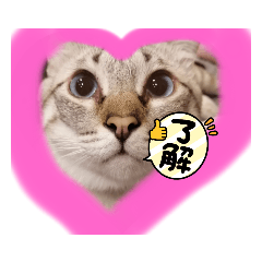 nogeira_20211226164924