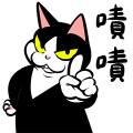 賓士貓Ohagi 15