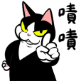 賓士貓Ohagi 15