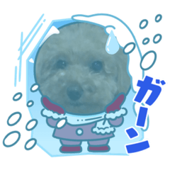 ramucho_20211226182132