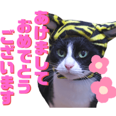 natsumi_20211226184355