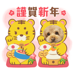 saori_20211226184853