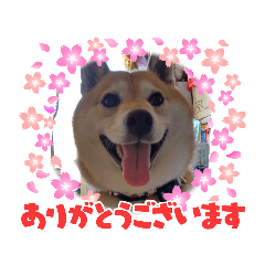 yukari_20211226202559