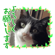 ShinnChann2