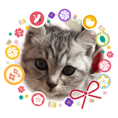 yuka_20211226220656