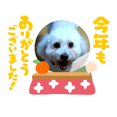 Risa_20211227002216