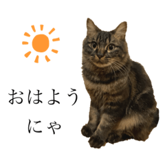 Hana_20211226181805