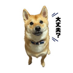 hana_20211226184421