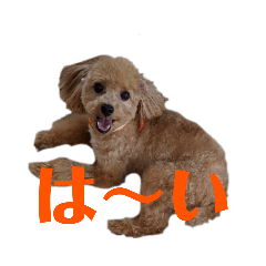 miki_20211226181309
