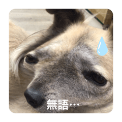 嘟嘟可愛小寶貝