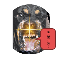 naho_20211227115903