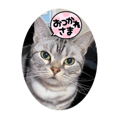 miki_20211226234305