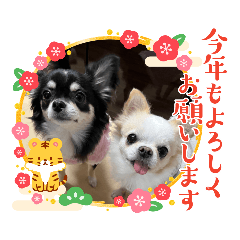 hana_20211227122829
