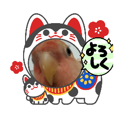 yukari_20211227011748