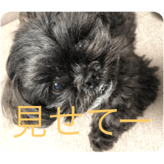 mocomoco_20211227134906