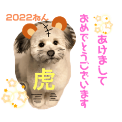 ayumi_20211227140655