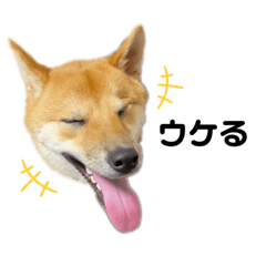hana_20211227141457