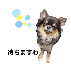 suzu_20211227144801