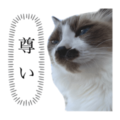 uchinokostamp_20211227144725