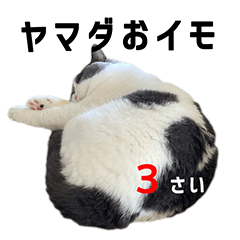 Honjitsu no Oimo-san Stamp 3