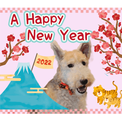 Apricot Tiger Tiger New Year Sticker