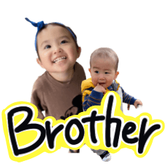 BROTHER 3939