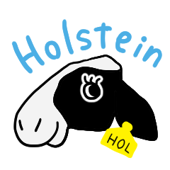 Everyday Holstein