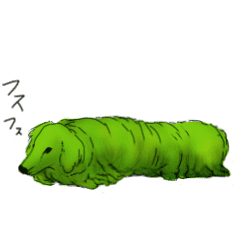 caterpillardog