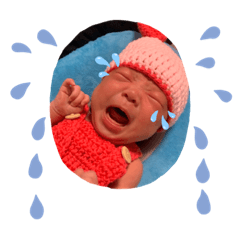 妞妞A